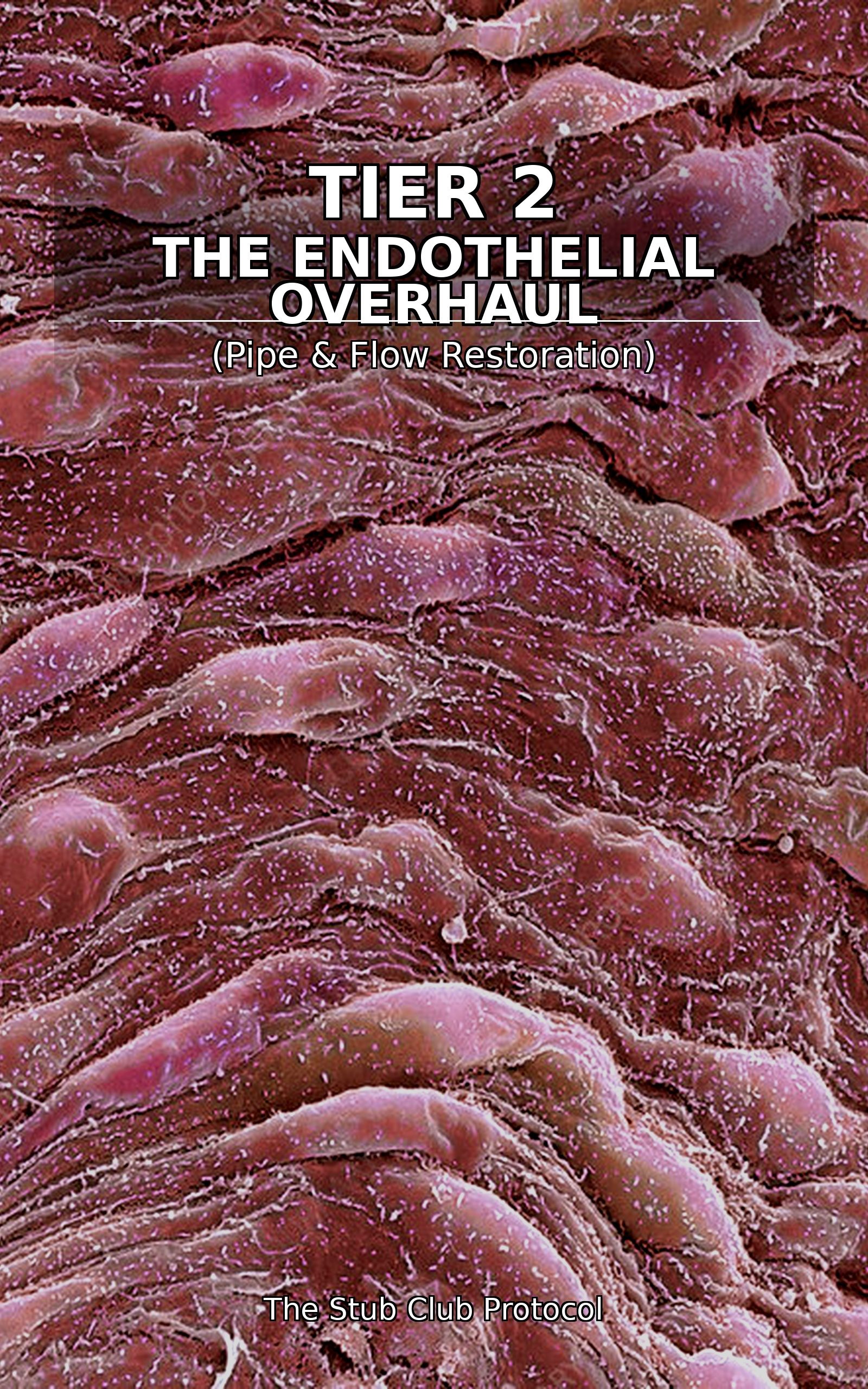Endothelial Overhaul — Book IV of The Confidence Reset series by Stub Club